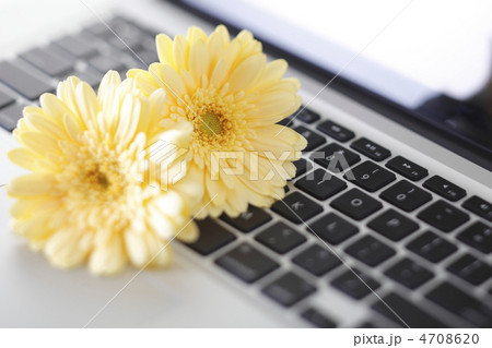 花とパソコン 4708620