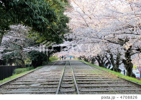 京都 蹴上インクラインの桜並木 京都 蹴上インクラインの桜並木 4708826
