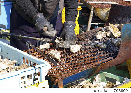 厚岸町牡蠣まつりの焼き牡蠣 4708860