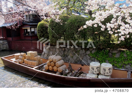 京都木屋町　高瀬川一之舟入りの桜 4708870