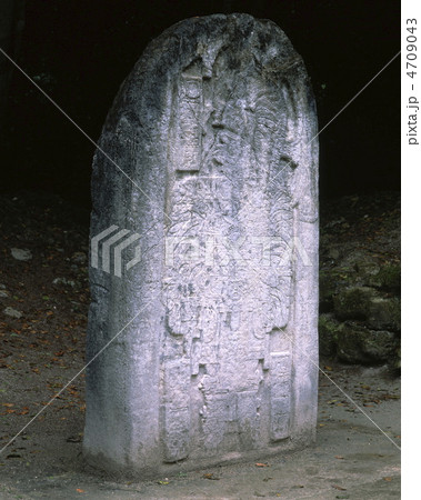 ティカル国立公園ステラ16 ティカル国立公園ステラ16 4709043