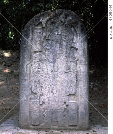 ティカル国立公園ステラ16 ティカル国立公園ステラ16 4709044