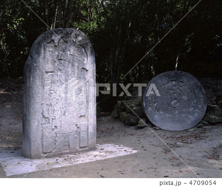 ティカル国立公園ステラ16とアルタール5 ティカル国立公園ステラ16とアルタール5 4709054