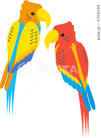 コンゴウインコ 4709294