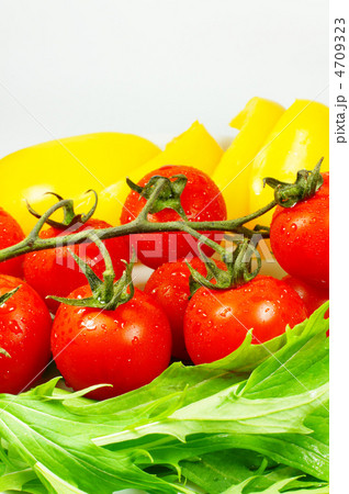 フレッシュ野菜　パプリカ　トマト　水菜 4709323