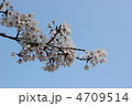 福岡 4709514