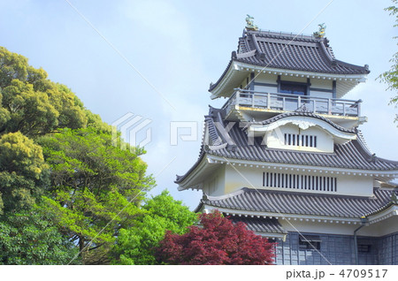 小山城 4709517