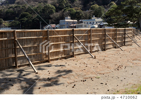 飛砂防止の竹垣 4710062