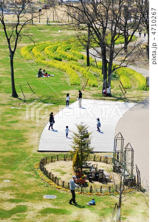 春の公園 4710267