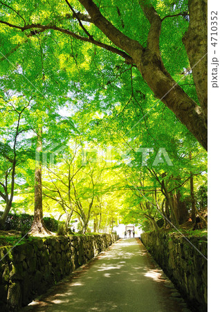 興聖寺 興聖寺 4710352