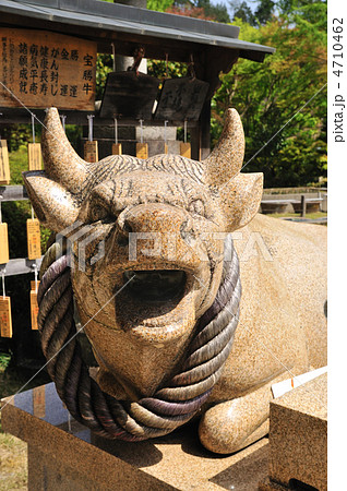 三室戸寺　宝勝牛 4710462