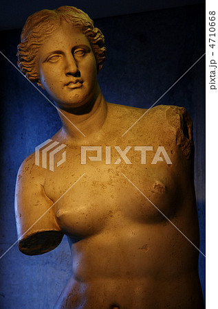 ヴィーナス ヴィーナス 4710668