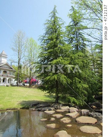 修善寺　虹の郷（にじのさと）　水辺　 4712137