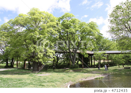 木曽三川公園 木曽三川公園 4712435