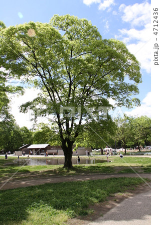 木曽三川公園 4712436