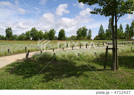 木曽三川公園 4712437