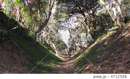 小田原 小峯御鐘ノ台大堀切の写真素材