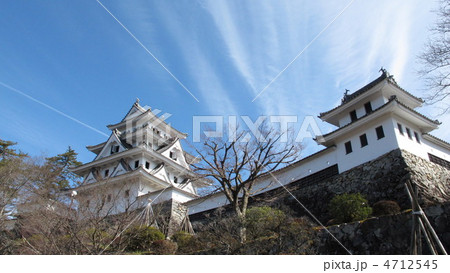 郡上八幡城 郡上八幡城 4712545