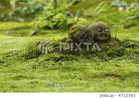 苔地蔵 4712563