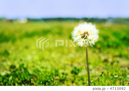 わたぼうし わたぼうし 4713092