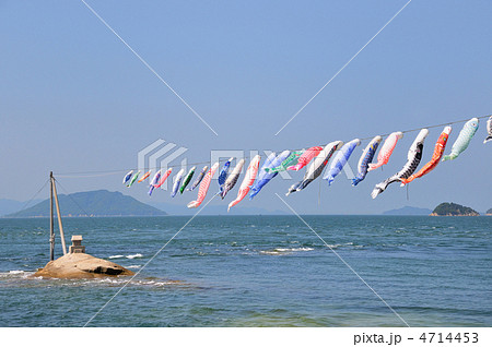 海上こいのぼり 海上こいのぼり 4714453