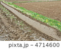畑 4714600