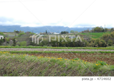 みまきの風景 みまきの風景 4714602