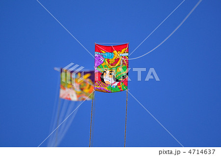凧揚げ 4714637