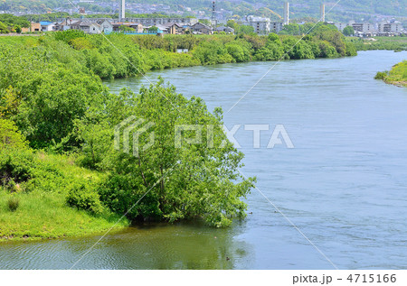 京都　宇治川　新緑　山科川合流地点1 4715166