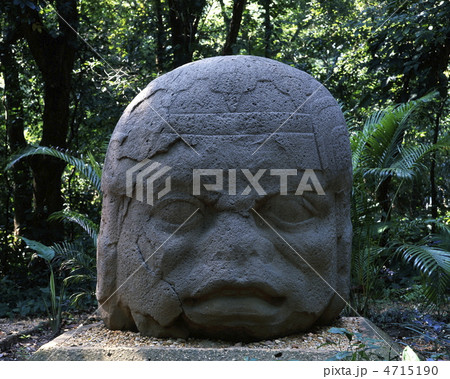 ラ・ベンタ遺跡公園老戦士の巨石人頭像 ラ・ベンタ遺跡公園老戦士の巨石人頭像 4715190