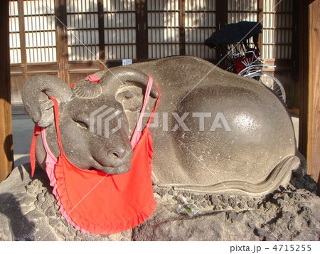 牛嶋神社のなで牛 牛嶋神社のなで牛 4715255