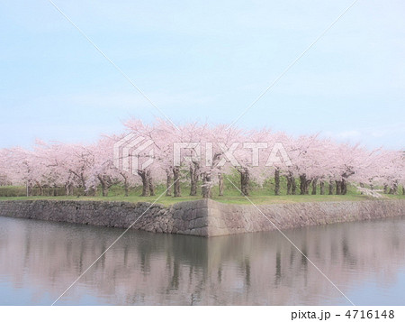 五稜郭公園 4716148