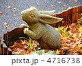 うさぎ 4716738