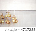 玉ねぎ 4717288