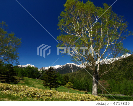 宮田高原 初夏 宮田高原 初夏 4717339