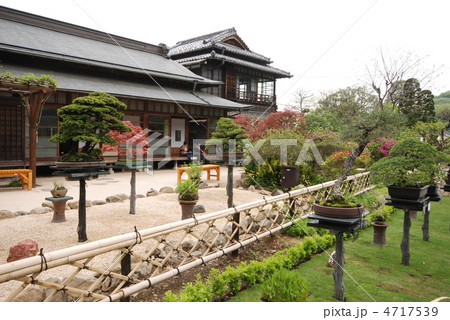 八王子　駒木野庭園 4717539