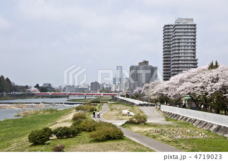 広瀬川湖畔の桜と仙台市 4719023