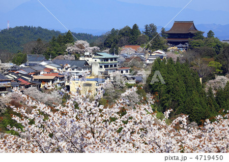 桜咲く吉野山 4719450