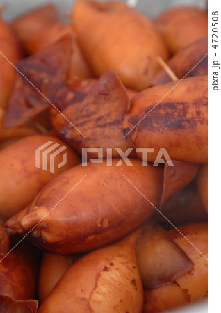 いかめし いかめし 4720508