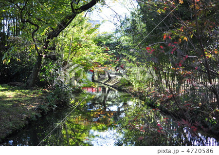 栗林公園 4720586