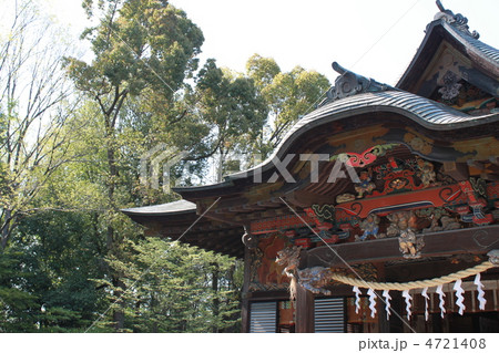 秩父神社 4721408