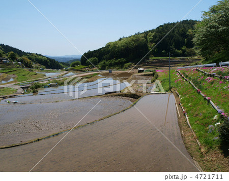 岐阜・上代田棚田 4721711
