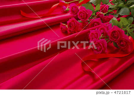 赤い薔薇 4721817