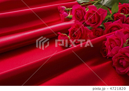 赤い薔薇 4721820