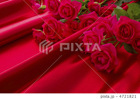 赤い薔薇 4721821