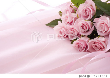 ピンク薔薇 4721824