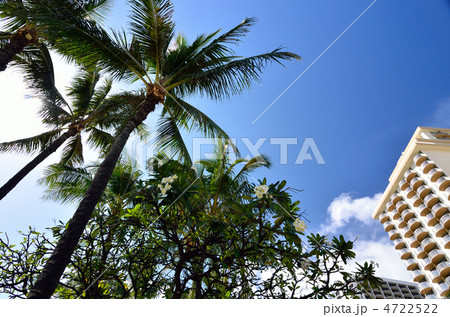 ワイキキの街 4722522