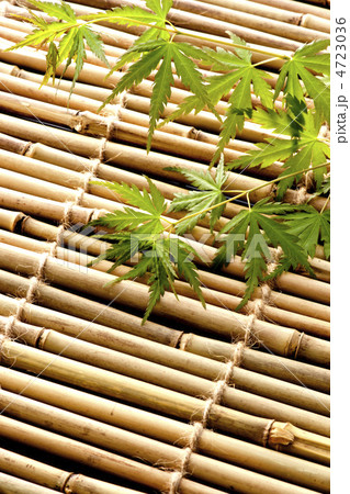 もみじ もみじ 4723036