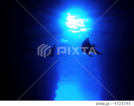 青の洞窟と魚のシルエット 4723745