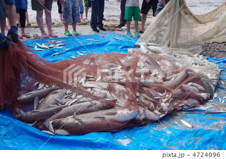 地引網 地引網 4724096